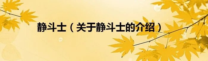 静斗士（关于静斗士的介绍）