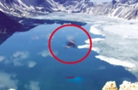 世界十大水怪排名都有哪些 最可怕的水怪真实图片