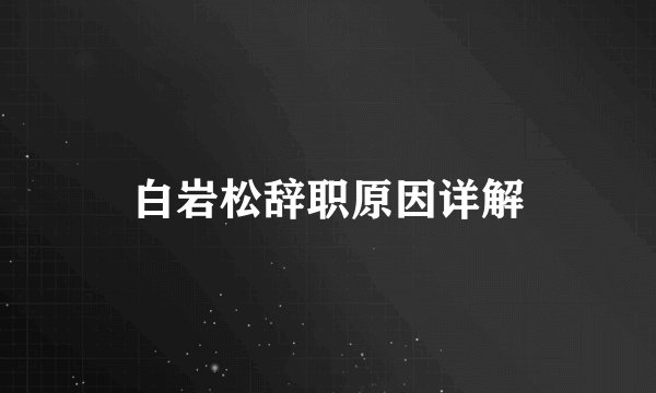 白岩松辞职原因详解