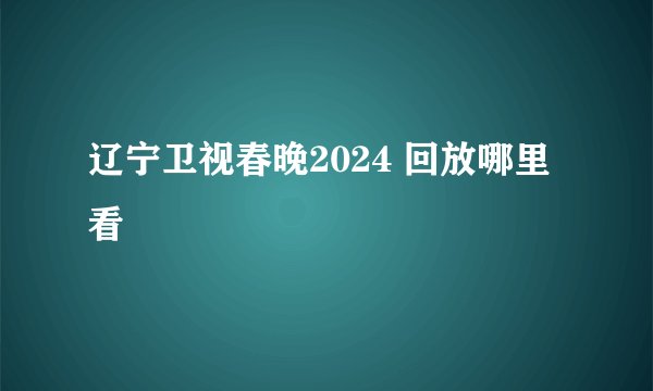 辽宁卫视春晚2024 回放哪里看