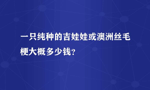 一只纯种的吉娃娃或澳洲丝毛梗大概多少钱？