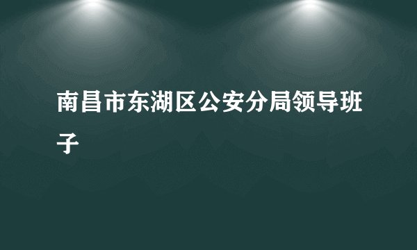 南昌市东湖区公安分局领导班子