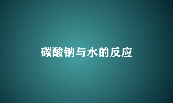 碳酸钠与水的反应