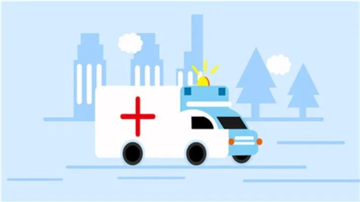 铁树叶的功效与作用