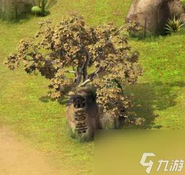 梦幻西游密道攻略-密道玩法全流程详解 已采纳