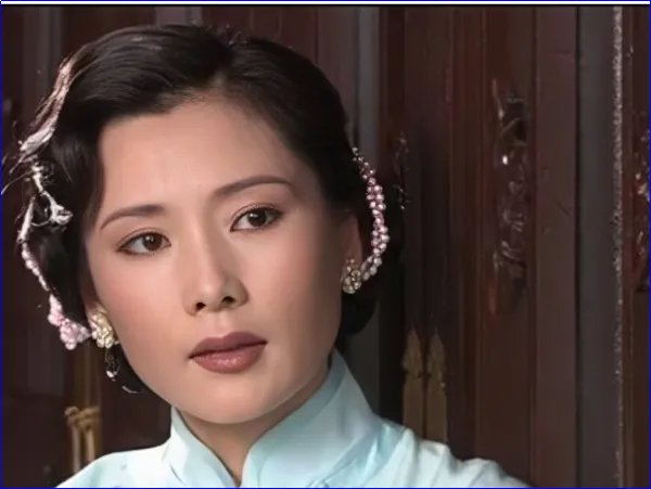 何赛飞主演电视剧大全