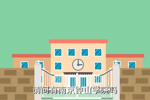 南京中山学院,南京中山外国语学院