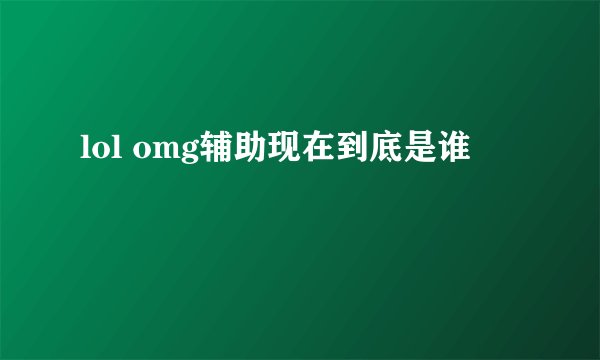 lol omg辅助现在到底是谁