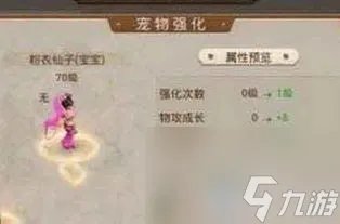 问道网游宠物强化攻略,强化全攻略 战力飞升不是梦