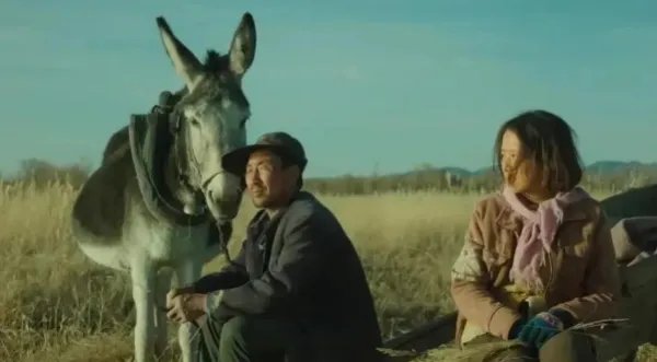 《隐入尘烟》被全网下架了，背后的原因是什么？