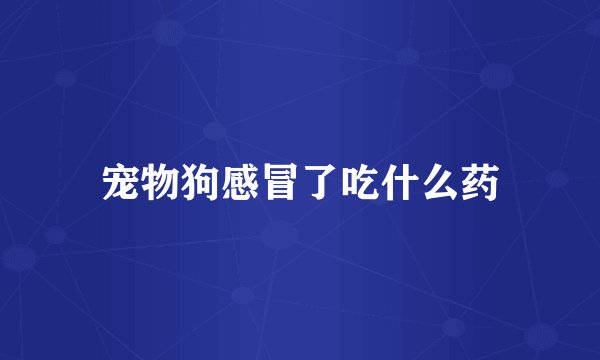 宠物狗感冒了吃什么药