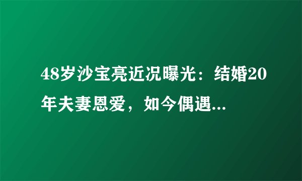 48岁沙宝亮近况曝光：结婚20年夫妻恩爱，如今偶遇车祸救人获赞？