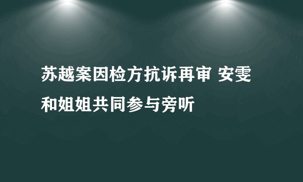 苏越案因检方抗诉再审 安雯和姐姐共同参与旁听 