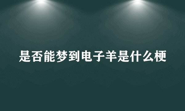 是否能梦到电子羊是什么梗