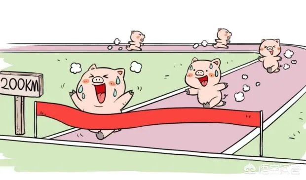 “人工智能养猪”的行为到底靠不靠谱？