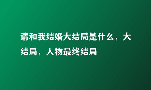 请和我结婚大结局是什么，大结局，人物最终结局