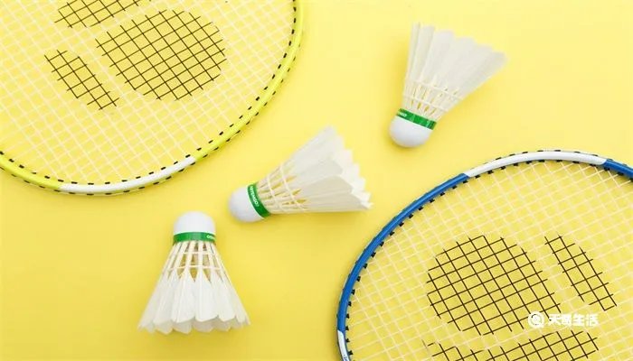 速度最快的球类运动