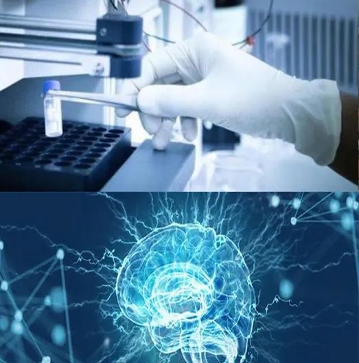 成功复活死亡猪脑是真的吗：怎么复活的始末详情