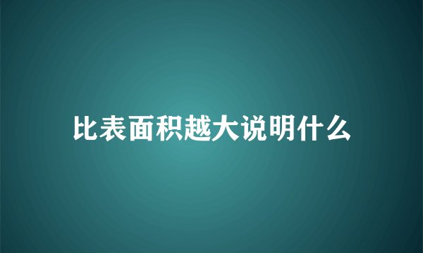 比表面积越大说明什么