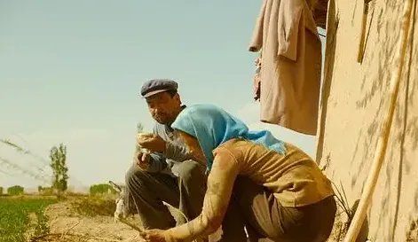 《隐入尘烟》被全网下架了，背后的原因是什么？