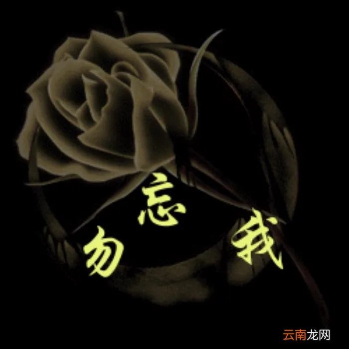 数字代表的情书 数字情书