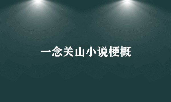 一念关山小说梗概