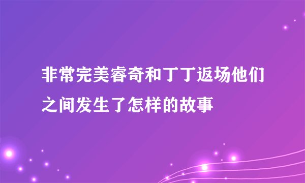 非常完美睿奇和丁丁返场他们之间发生了怎样的故事
