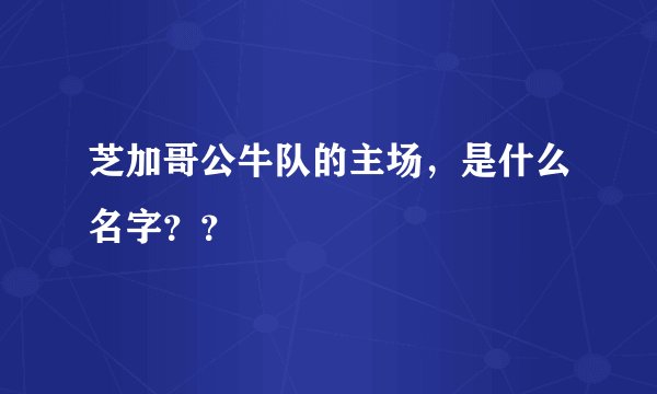 芝加哥公牛队的主场，是什么名字？？