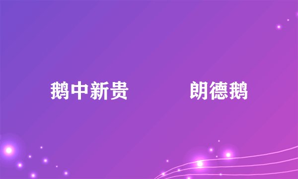 鹅中新贵―――朗德鹅