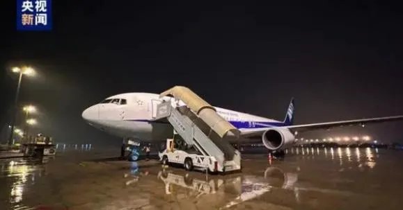 旅日大熊猫永明及双胞胎女儿回国 详情曝光飞抵成都入住隔离检疫区为期一个月