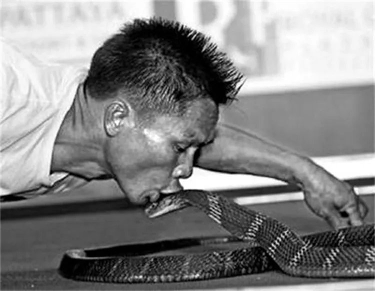 吉尼斯接吻记录  最长时间 50小时  （另类接吻）