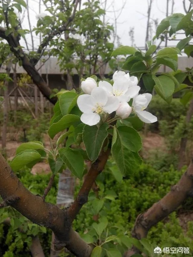 积极的生活态度