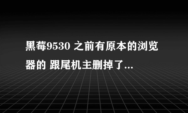 黑莓9530 之前有原本的浏览器的 跟尾机主删掉了 怎样下回来 上网看教程好似黑莓手机好想很难用 请高人指教