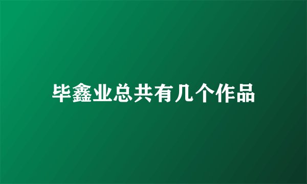 毕鑫业总共有几个作品
