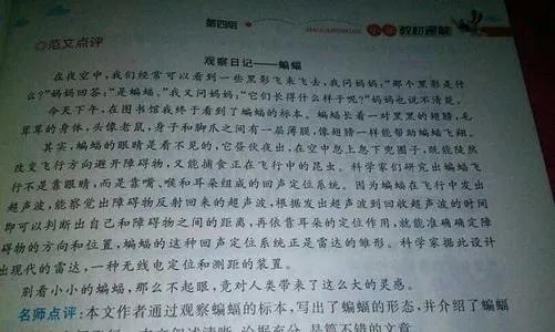 植物作文300字大全集