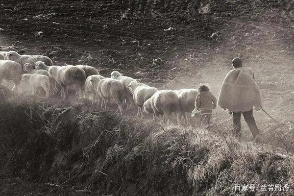 陕西“活埋亲母案”始末:当弃儿母亲遇上冷血儿子,病后被活埋,后来怎样?