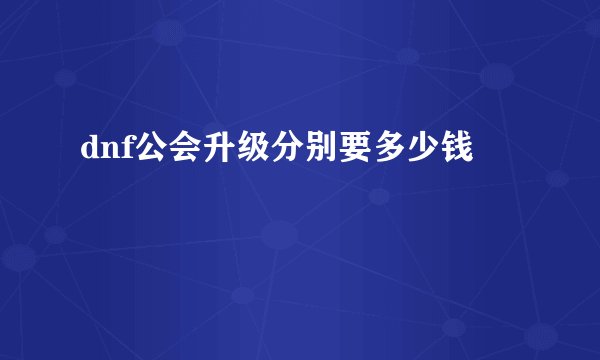 dnf公会升级分别要多少钱