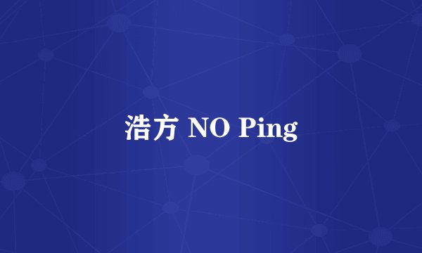 浩方 NO Ping