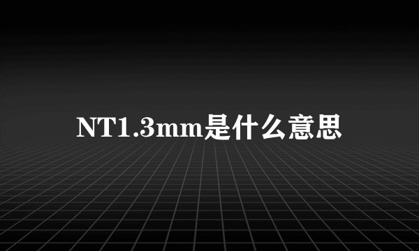 NT1.3mm是什么意思
