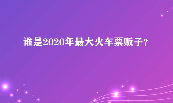 谁是2020年最大火车票贩子？