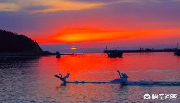 暑假带孩子去哪里旅游最好国内