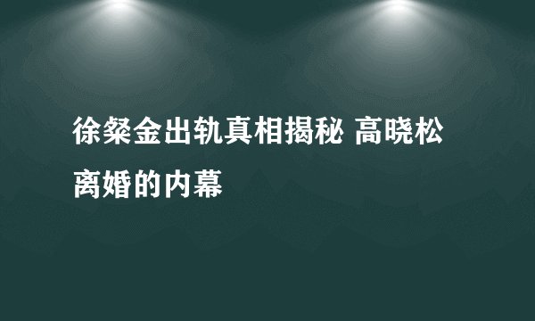 徐粲金出轨真相揭秘 高晓松离婚的内幕