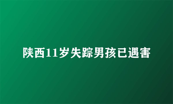陕西11岁失踪男孩已遇害