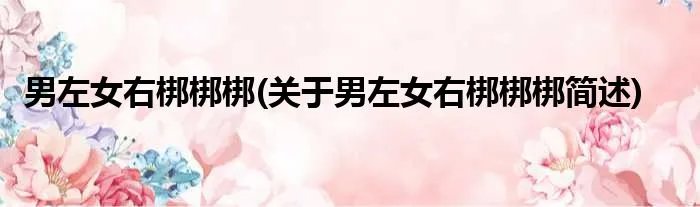 男左女右梆梆梆(关于男左女右梆梆梆简述)