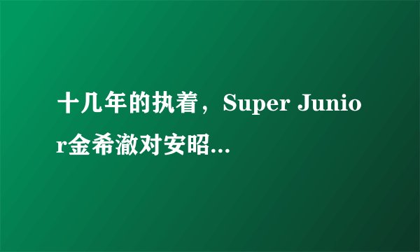 十几年的执着，Super Junior金希澈对安昭熙的守望是爱情吗？