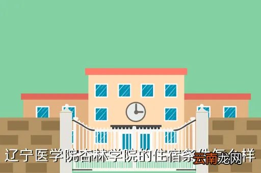 辽宁医学院杏林学院,辽宁中医药大学杏林学院和辽宁医学院医疗学院哪个好