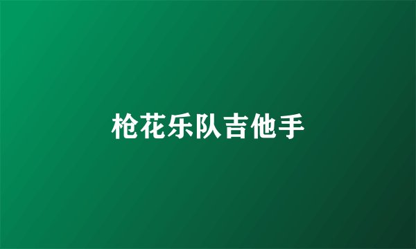 枪花乐队吉他手