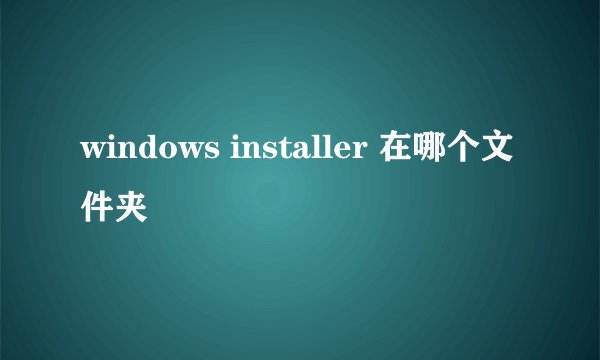 windows installer 在哪个文件夹