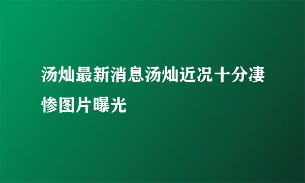 汤灿最新消息汤灿近况十分凄惨图片曝光