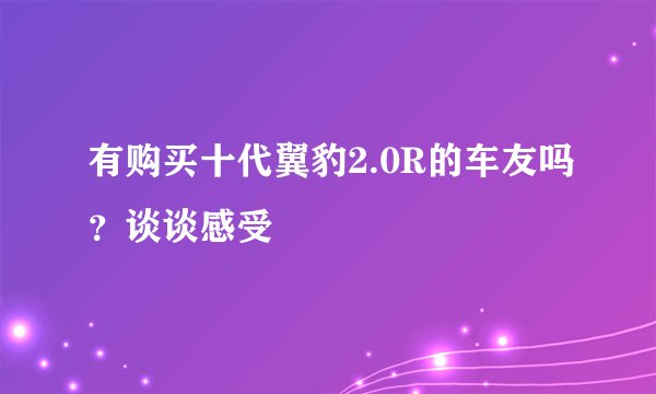 有购买十代翼豹2.0R的车友吗？谈谈感受